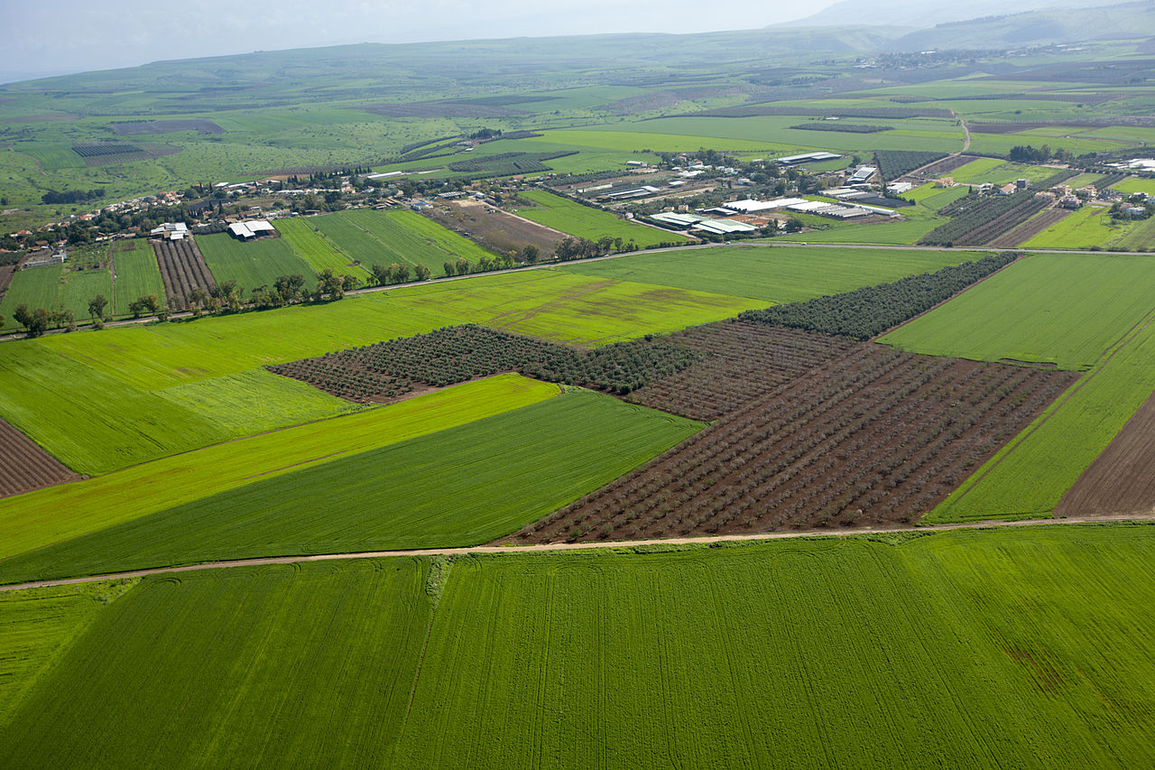 Green Galilee aerial view